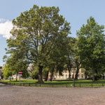 Bed & Breakfast, Ripperdapark, Haarlem