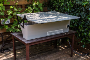 160605_IE_VWbus_MG_6632_W