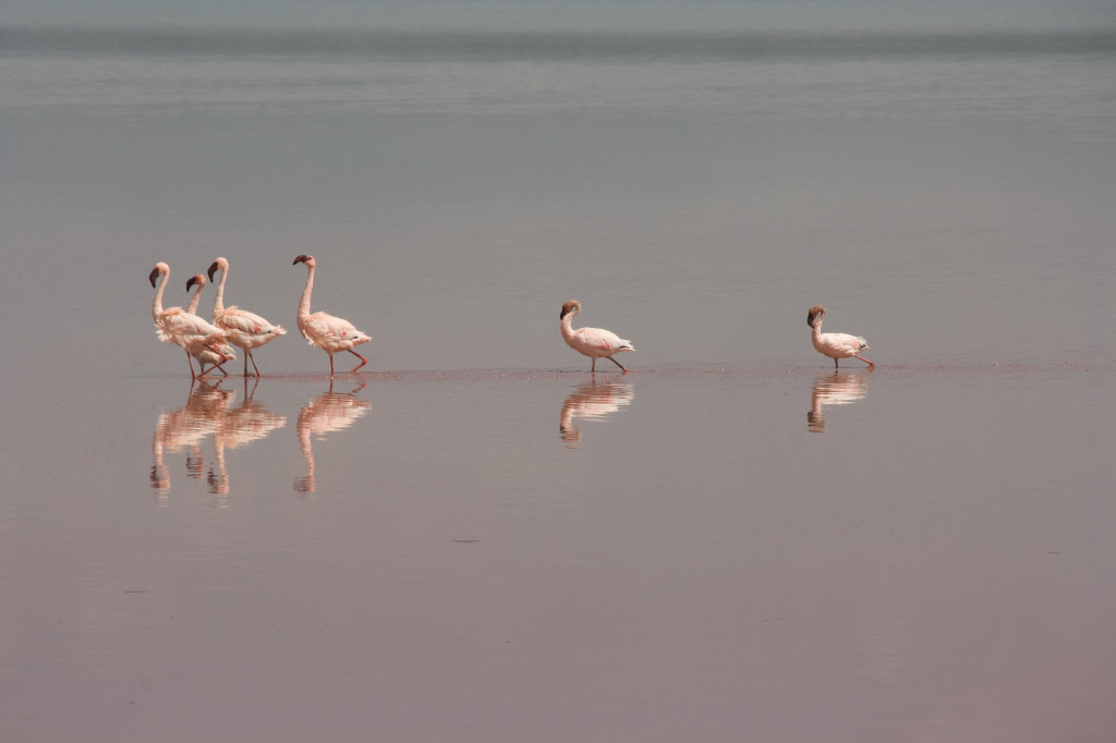 Reflectie ©Ineke Eibergen